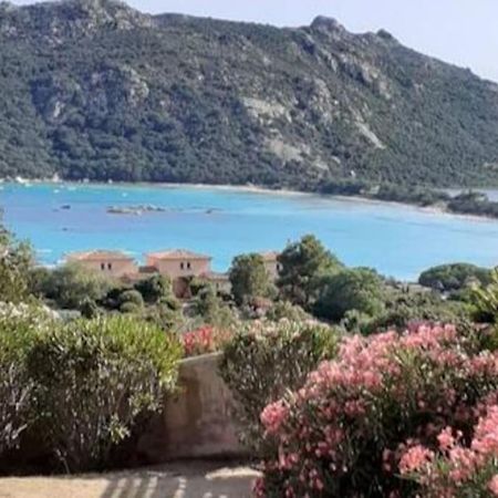 Petit Nid Douillet A Deux Pas De Santa Giulia Apartment Porto-Vecchio  Bagian luar foto